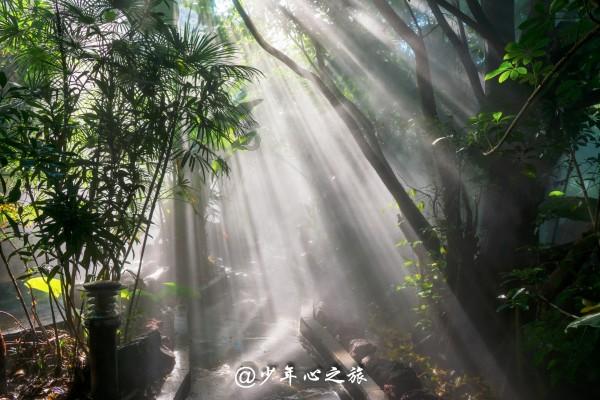 翰墨传情 送福到家